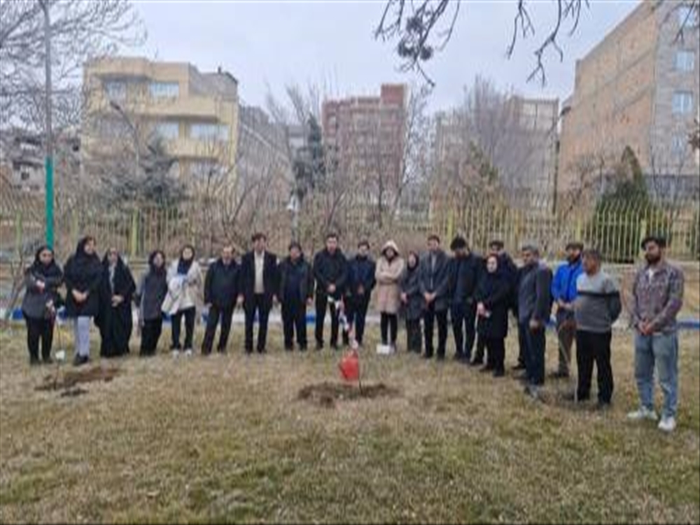 روز درختکاری 1403